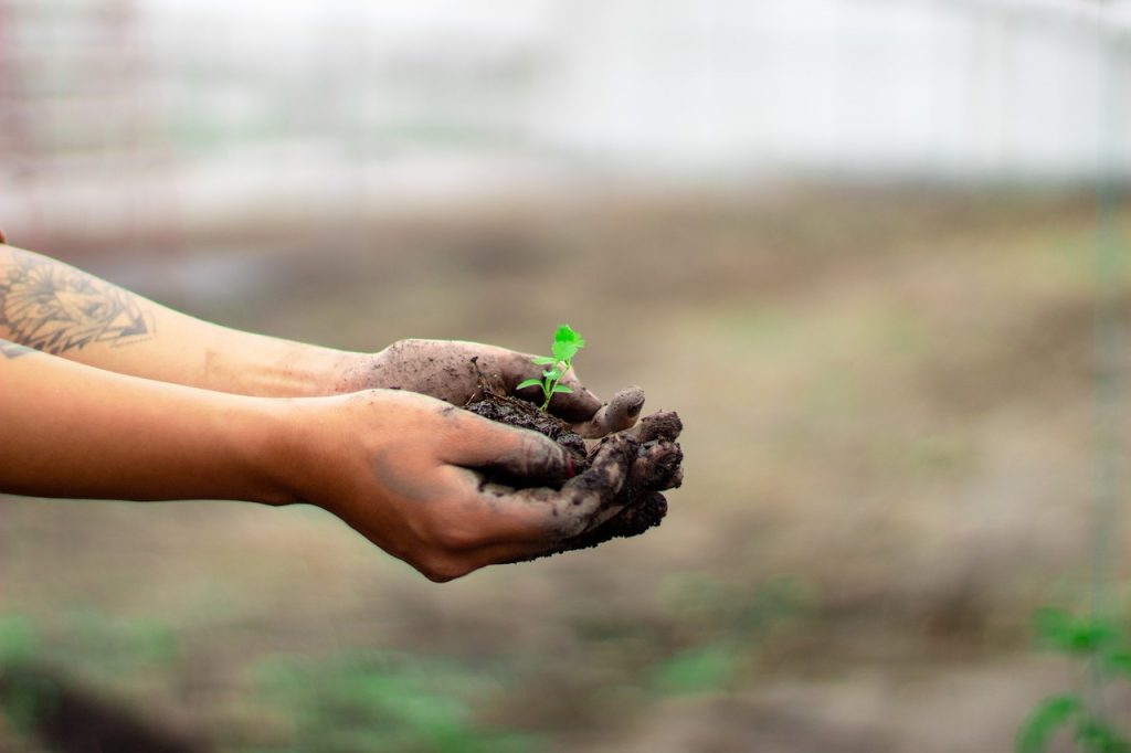 Comment démarrer un jardin enterré ?